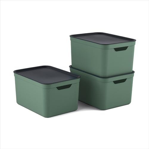 Rotho Jive Set of 3 Storage Boxes with Lids 16 L A4 Format Green/Anthracite - Kitchen Storage, A4 Format for Paperwork, Three Matching Boxes, Fitted Lids, Easy-Care Material, Green/Anthracite, Home Use