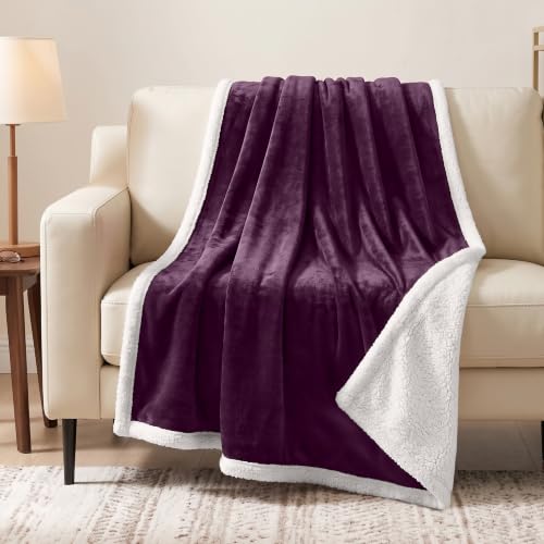 PAVILIA Sherpa Fleece Throw Blanket for Couch, Twin Size, Purple, Plush Soft Fuzzy Sofa Blanket, Cozy Reversible Winter Throw for Women Men, 60x80 Inches