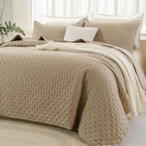 Andency Beige Queen Size Quilt Bedding Set, 3-Piece Soft Lightweight Bedspread & Coverlet, Boho Summer Quilt & 2 Pillow Shams