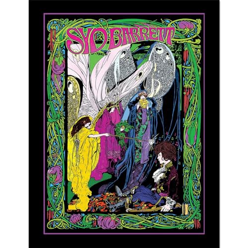 Pyramid International SYD BARRETT (BUTTERFLIES) COLLECTOR PRINT (FRAMED)