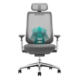 COLAMY Ergonomic Mesh Office Chair, High Back Computer Executive Desk Chair with Adjustable Headrest and 4D Arms, Slide Seat, Tilt Lock, Dark Grey