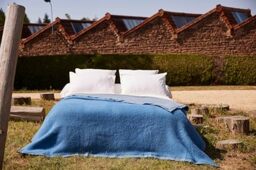 Toison d’or Volta Woolmark Wool Blanket, 180 cm x 240 cm, Azure
