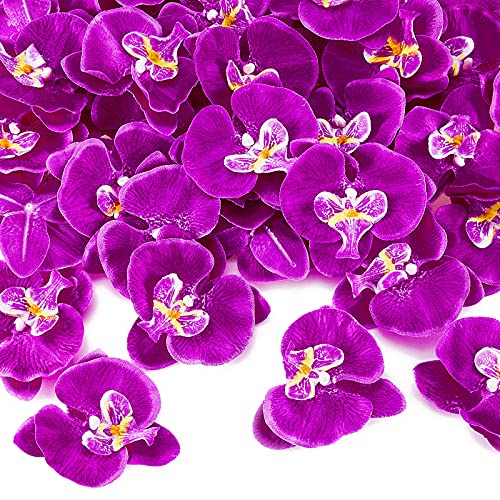 Luinabio 40 Pieces Orchid Petals Artificial Decorations Orchids Heads Flowers Faux Silk Phalaenopsis Butterfly Flower Heads for DIY Craft Home Wedding Party (Dark Purple)
