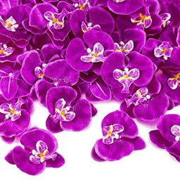 Luinabio 40 Pieces Orchid Petals Artificial Decorations Orchids Heads Flowers Faux Silk Phalaenopsis Butterfly Flower Heads for DIY Craft Home Wedding Party (Dark Purple)