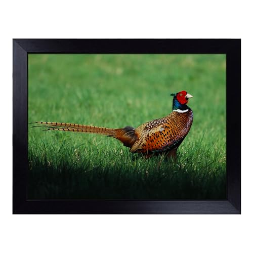 Lap Tray with Bean Bag Cushion, Pheasant Bird - Handmade in the UK, Raised Wooden Edge, Padded Cushion, Heat-Resistant Wipe-Clean Surface, for Meals, Laptops and Crafts