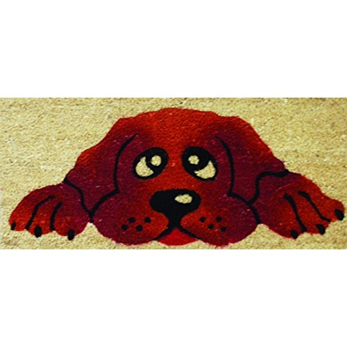 REDS Door Mat, Multi-Colour, 23 x 53 cm