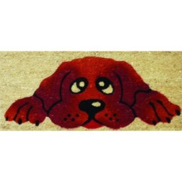 REDS Door Mat, Multi-Colour, 23 x 53 cm