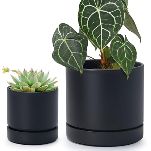 Phoenix Vine Set of 4 Inch and 6 Inch Planter Pot with Drainage Hole & Deep Water Catch Tray Saucer, Straight Cylindrical Round Pot for Plants, Black Color, 23-A-2-Z