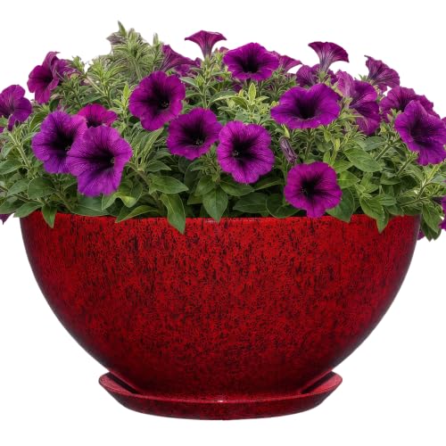 GROWSCAPE Classic Home and Garden Rosie Modern Planter w/Drainage - Contemporary Planter Bowls - Shallow Round Vases for Small Plants - Versatile Indoor & Outdoor Pots (10??? Lava Red)