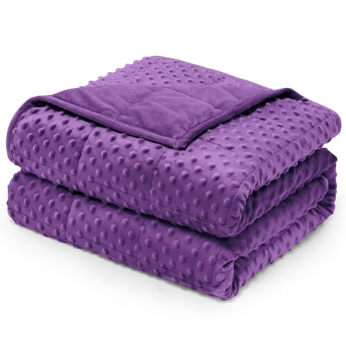 "Wemore Minky Weighted Blanket for Adults 15 lbs Twin Size 48""x72"" Purple - Minky Dot Heavy Throw Blanket, for Stress Relief, Better Sleep, Reading, Napping, Machine Washable, Breathable, Glass Beads"