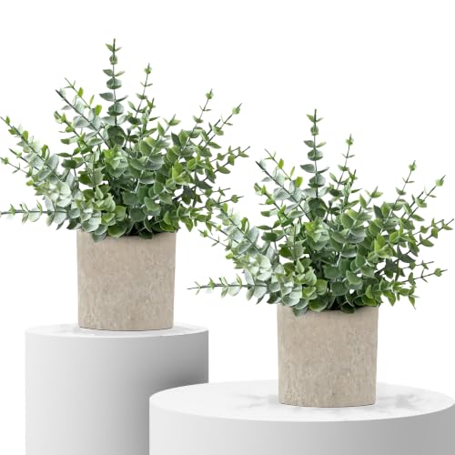 MIXROSE Small Fake Plants Indoor 2 Pack Eucalyptus Artificial Plants in Pot Green Decor Mini Faux Plants for Shelf Desk Home Bathroom Farmhouse Room Coffee Table Decor Greenery