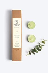 SMELLS LIKE SPELLS Hand made scented tealigh candles EIR with magical fragrance of Mint, Lime and Myrrh