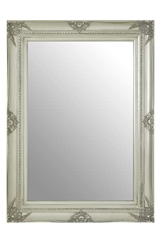Premier Housewares Wall Mirror/Mirrors For Garden/Bathroom/Living Room Antique Effect Rectangular Frame/Silver Finish Wall Mounted Mirrors W83 X D5 X H113cm.