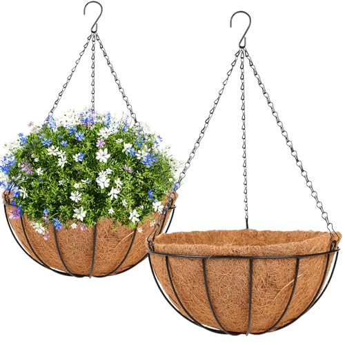 Hanging Basket Planter Plants Outdoor - 2 Pack 10 Inch Metal Hanging Planter with Coco Liners, Chain Hook Hanging Flower Pots for Indoor Outdoor Garden Porch Decoration