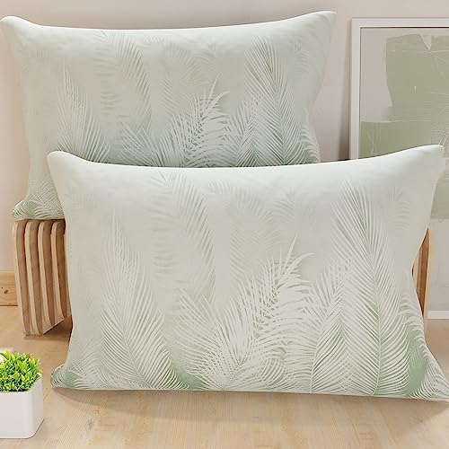 PETTI Artigiani Italiani - Pair of Pillow Cases 40 x 80 cm in Microfibre, Cushions for Bedroom Furniture, Sofa, Living Room, Set of 2 Cushion Covers, Sage Leaf Pillowcase 100% Made in Italy