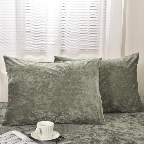 "PHF Truly Velvet Pillowcases Standard Size, No Insert, 2 Pack Ultra Soft Breathable Pillow Shams Covers with Envelope Closure, 20"" X 26"" Luxury Cozy Warm Fuzzy Flannel, Vetiver"