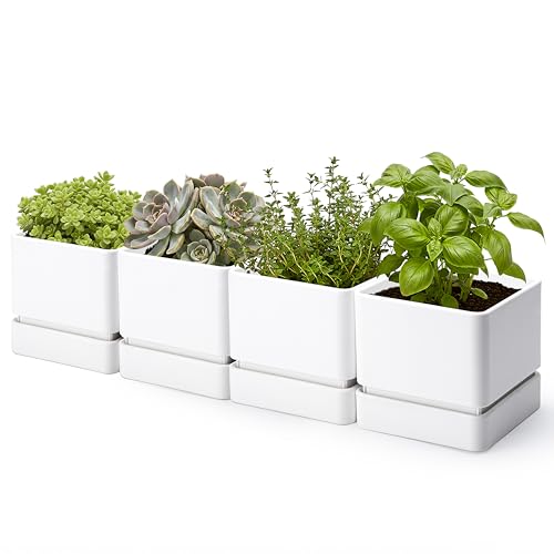 D'vine Dev 6 Inch Herb Planter Pot, Plastic Planter with Drainage Holes and Saucer, Modern Decorative Gardening Pot for Indoor Plants, Flowers, Herbs, Succulents, White, Set of 4, 76-Y-A4-2