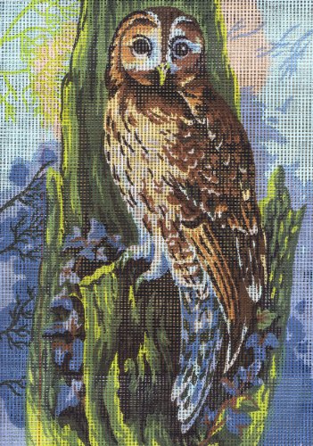 Collection D'Art Tapestry Kit Owl, 100 Percent Cotton, Multi-Colour, 38 x 25 x 0.5 cm
