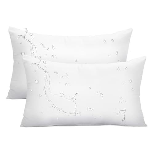 Ashler Outdoor Lumbar Pillows, 12 x 20 Outdoor Pillows, Summer Pillows Set of 2, Water Resistant Pillow Inserts Hypoallergenic Pillows for Patio, Bench, Garden, Indoor Outdoor