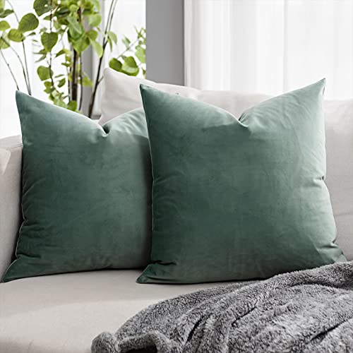 QUAFOO Sage Couch Velvet Throw Pillow Covers 16x16 inch Set of 2 with Zipper Decorative Luxury Soft Solid Rectangle Cushion Covers Case for Sofa Bed Living Room Car