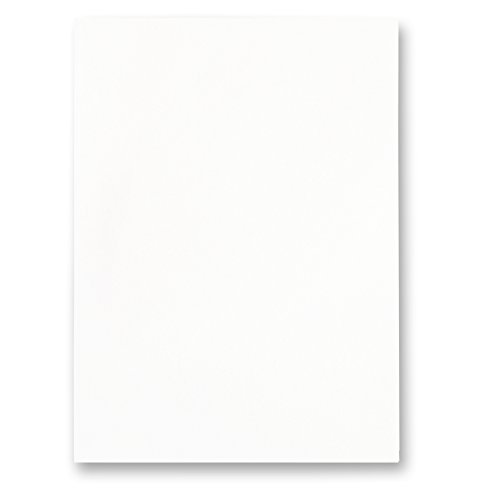 RAYHER HOBBY Plain Water Slide Decal Paper Sheet for Laser Printer, Printable Transfer Paper Sheet for Candle Making and Crafts, 210x297mm, white, 31572000