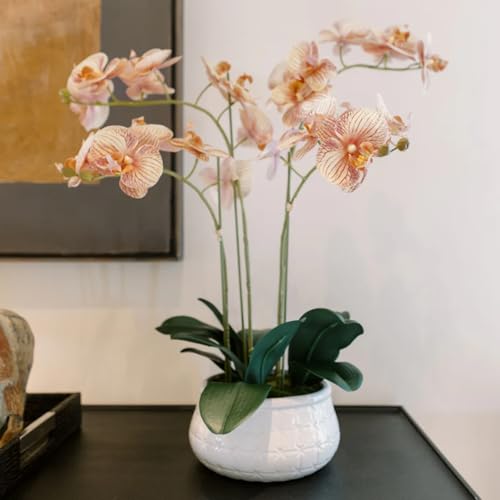 CG Hunter Faux Orange Orchid Plant, Premium Artificial Indoor Flower Display Stands 23???, Beautiful Sculptural Blooms That Lasts Forever, White Planter Pot Included