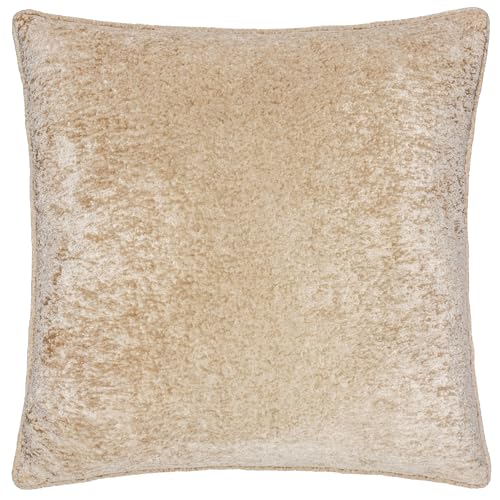 Paoletti Lustre Velvet Polyester Filled Cushion – Crushed Velvet Luxury Textured Piped Edge Decorative Pillow (Champagne – 50x50cm)