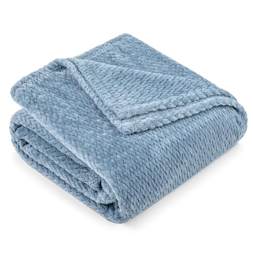 PAVILIA Soft Fleece Dusty Blue Throw Blanket for Couch, Lightweight Plush Warm Blankets for Bed, Fuzzy Cozy Flannel Blanket Throw for Sofa, Travel, Jacquard Pattern, Dusty Blue, Twin, 60x80 inch
