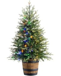 WeRChristmas Pre-Lit Potted Pine Christmas Tree with Dual LED Lights, Green, 4 feet/1.2m, WRC-9057