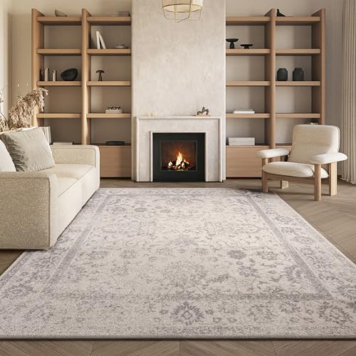 Safavieh Distressed Rug for Living Room, Dining Room, Bedroom - Adirondack Collection, Short Pile, in Ivory and Silver, 240 C 300 cm