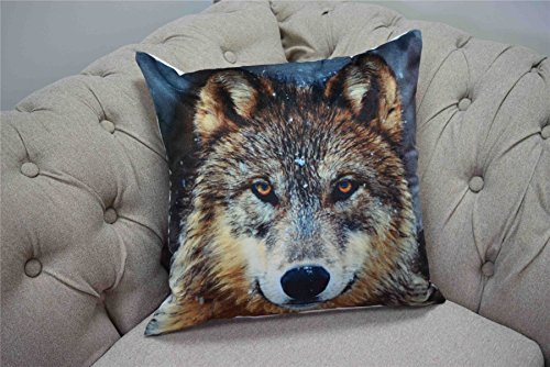 Rapport Home Wolf Square Cushions Cover Photographic Animals 43 x 43cm New Zip Open