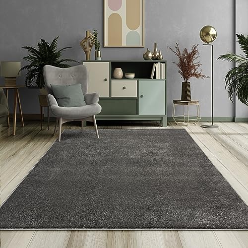 Mia´s Teppiche Emely Modern Soft Short Pile (17mm) Living Room Rug