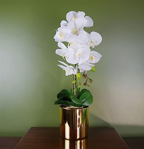 Leaf 52cm Artificial Orchid Large - White/Gold