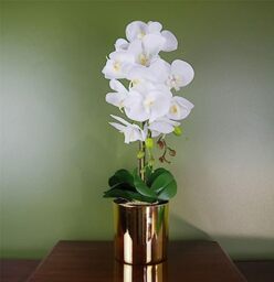 Leaf 52cm Artificial Orchid Large - White/Gold