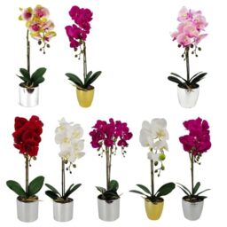 Leaf Pack of 8 Artificial Orchids in Pots