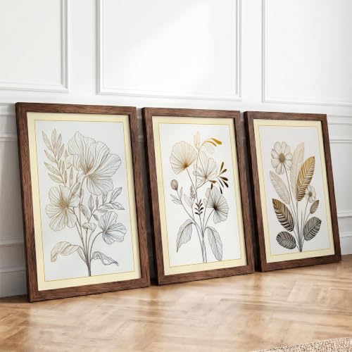 Botanical Observations Botanical Set of 3 Framed Wall Art Prints A4