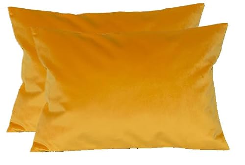 TangDepot Pack of 2 Solid Velvet Throw Pillow Covers, Super Luxury Soft Pillow Cases, Lumbar Pillow Shells, Pillowcases - (12x24 Inch 2 Pieces, Gold)