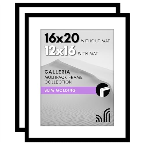 Americanflat 16x20 Picture Frame in Black - Set of 2 - Use as 12x16 Picture Frame with Mat or 16x20 Frame Without Mat - Collage Picture Frames with Plexiglass Cover for Horizontal or Vertical Display