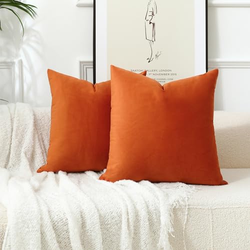 Stellhome Pack of 2, Super Soft Velvet Decorative Pillow Covers for Bed, Sofa, Bench, 26x26 Inch/65x65 cm, Burnt Orange