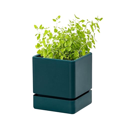 D'vine Dev Plastic Herb Planter Pot, 4 in, Green, 76-Y-C-1 - Sleek Minimalist Style, Window Herb Garden Solution, Drainage Hole, Fitting Saucer, Durable Build for Herbs and Small Plants