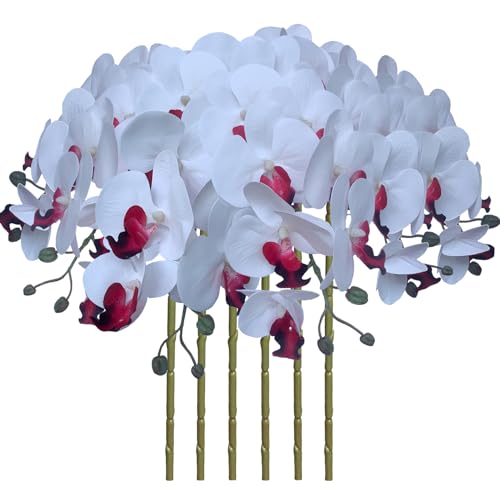 FagusHome 32 Inch Artificial Phalaenopsis Flowers 6 Pcs Artificial Orchid Flowers Stem Plants for Home D??cor (Pure White)