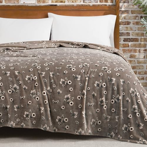 "Lucky Brand Daisy Beige Floral 90""X90"" Cozy Plush Blanket - Premium Microfiber Throw for Luxurious Comfort and Style Full/Queen Size"