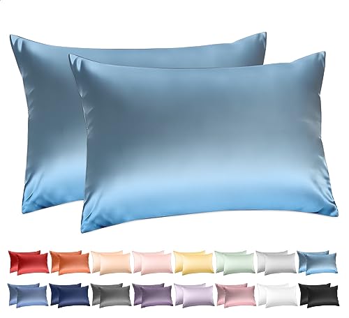 100% Cotton Queen Pillowcases Set of 2, Deep Dream 600 Thread Count Pillow Cases, 20x30 Inches, Super Soft and Breathable Envelope Closure (Flint Blue)
