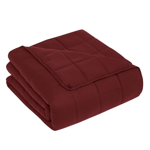 "CuteKing Weighted Blanket for Adults: Weighted Blanket with Premium Glass Beads - Breathable Heavy Blanket for Comfort Sleep - Thick Blanket for Adult All Season (12lbs, 48""x72"", Claret Red)"