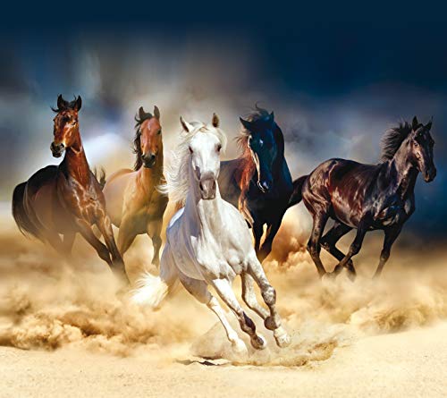 AG Design Energetic Galloping Horses Curtains for Living Room, Kitchen, Bedroom, Garden Shed, 180 x 160 cm, 2 Pieces, FCS XL 4824, Multi-Colour