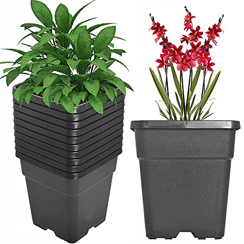 Elfinrm Square Planter Nursery Pots 1.36 Gallon Pots for Plants, Injection Molded Plastic Nursery Pots, Plant Container 1.36 Gal 10-Pack