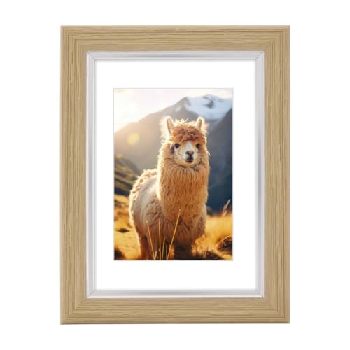 Hama Lima Plastic Photo Frame, Oak, 20 x 30 cm