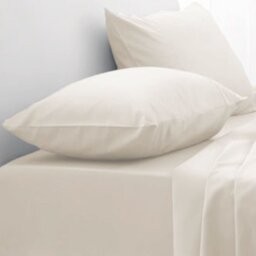 Emma Barclay 180 Thread Count Percale Pillowcase (Pair) in Ivory - Pillowcase Pair