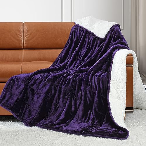 AONELAS Alomidds Weighted Blanket 20 lbs- 48''x72'', Twin Size, for 190-210lbs Adult, Heavy Blanket Premium Cotton Material with Glass Beads- Grape Purple