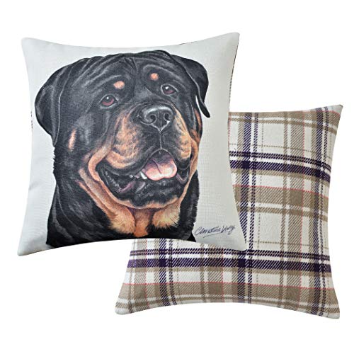Viceni Maturi Rottweiler Filled Dog Cushion-43 x 43cm / 17 x 17-inch, Multi-Coloured, 43 x 43cm